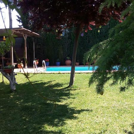 Apartament Bay Leaves Jaén Zewnętrze zdjęcie