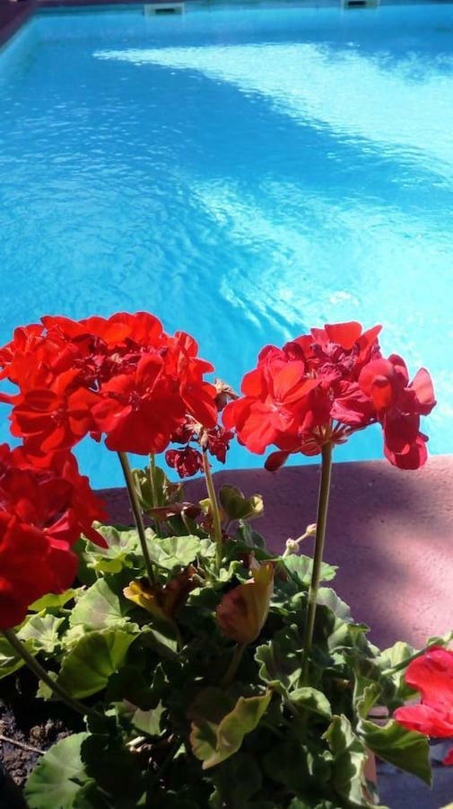 Apartament Bay Leaves Jaén Zewnętrze zdjęcie
